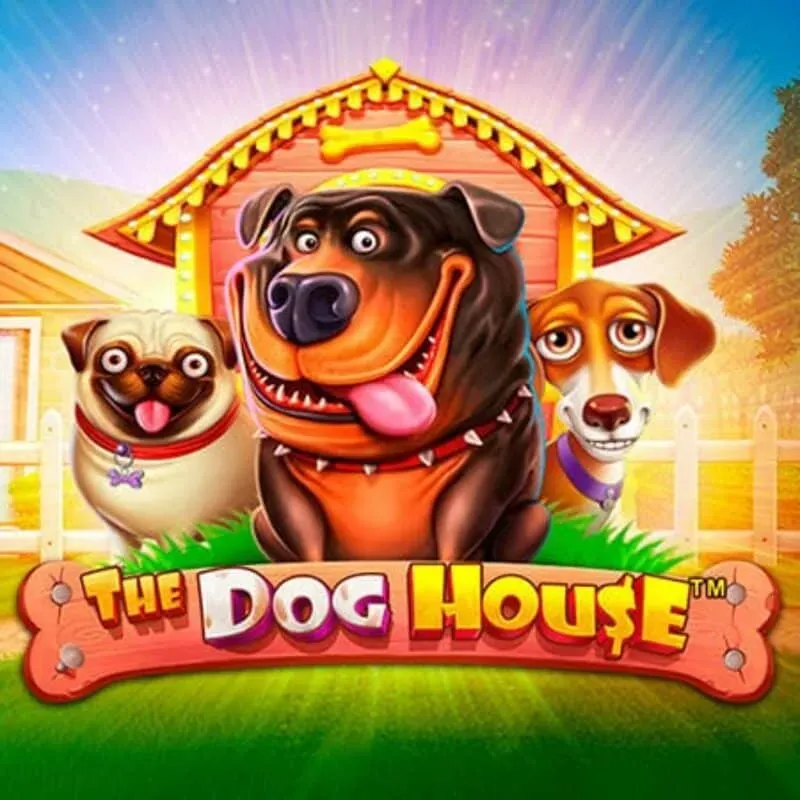 Dog House pokie at Kiwis Treasure Casino